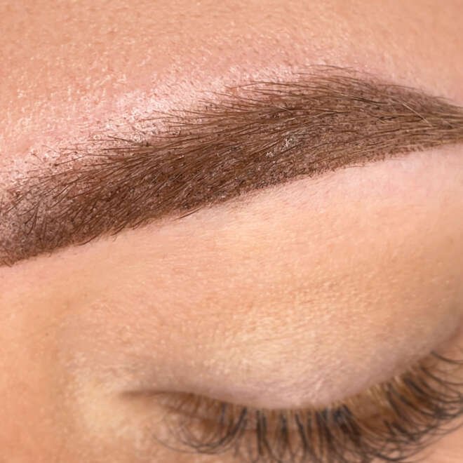 448ECDBC-0D81-435E-9860-D7859204270B